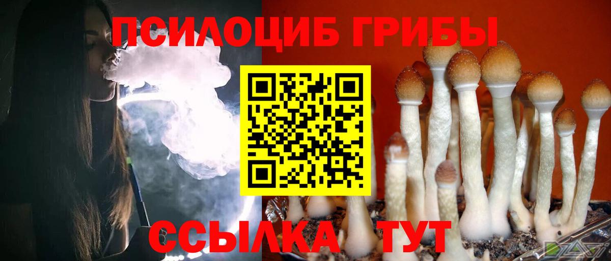 Аксай  сколько стоит  Вход с VPN  Галлюциногенные грибы Psilocybe 